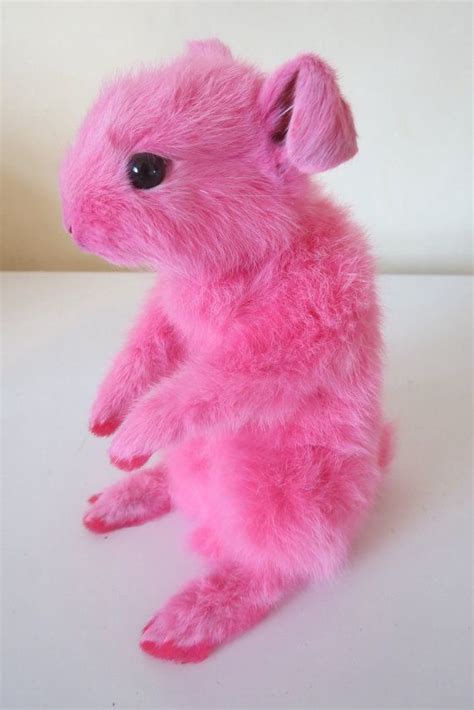 Fluffy Pink Bunny Taxidermy Rabbit Super Fluffy Bright Pink With