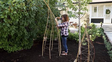 Willow Branch Trellis Project