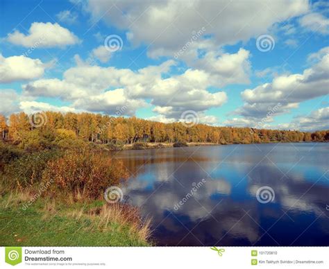 Stock Photo Image Of Flora Peaceful Close Branch 101720810