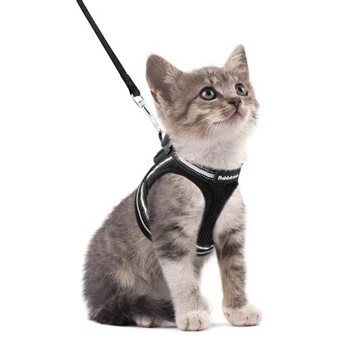 Rabbitgoo Cat Harness And Leash For Walking Escape Proof Step In