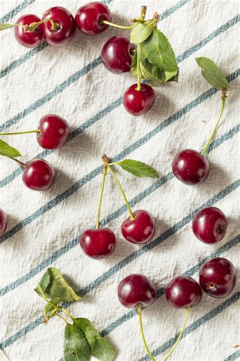 Raw Red Organic Tart Cherries Stock Image Image Of Fresh Green