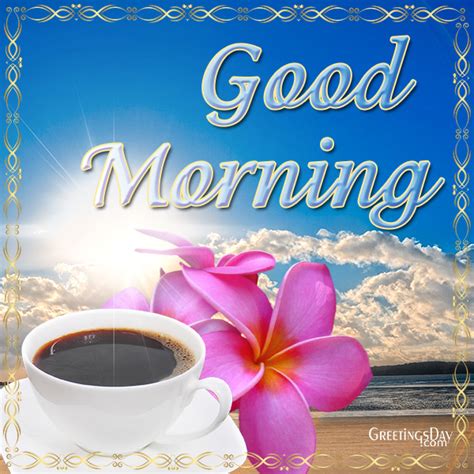 Good Morning Free Greetings Cards Pictures And Quotes And Images