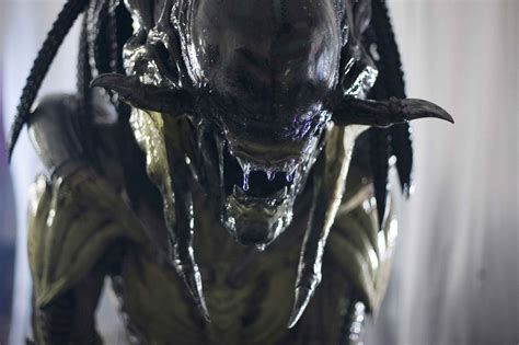 It was directed by paul w.s. Alien Vs. Predator, Alien (movie), Creature, Aliens ...