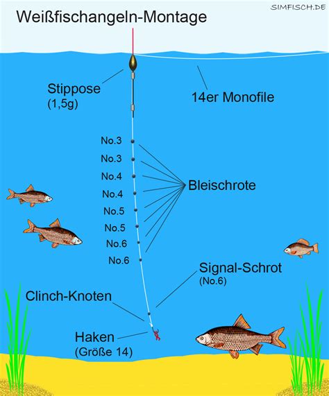 Kauftipps, test & vergleich 2021; Weißfische angeln | Simfisch.de - Angeln und Outdoor!