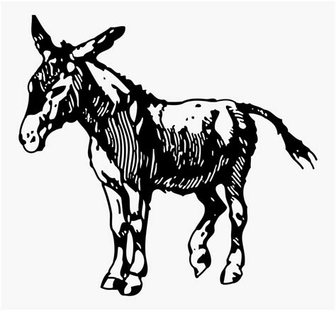 Donkey Svg , Free Transparent Clipart - ClipartKey