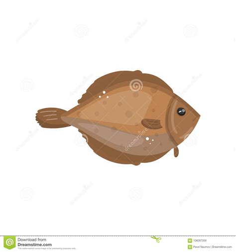 Flounder Fish Animal Fresh Seafood Cartoon Vector Illustratio Stock