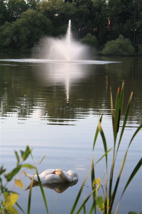 Fairy Lake Sunrise Southampton On Sunrise Lake Southampton Amazing