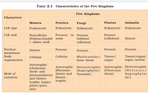 What Are The Characteristics Of Five Kingdoms Of Organisms