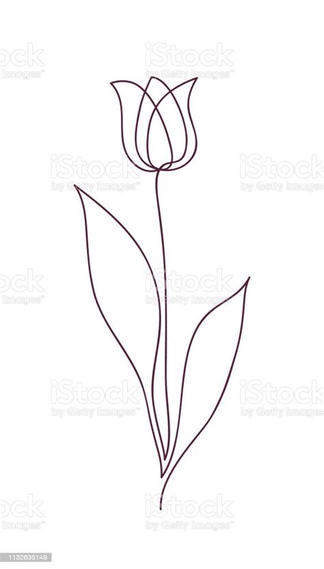 Beautiful Tulip Flower Line Art Concept Design Continuous