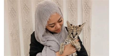 6 Artis Indonesia Hobi Pelihara Kucing Berharga Fantastis Bisa Buat