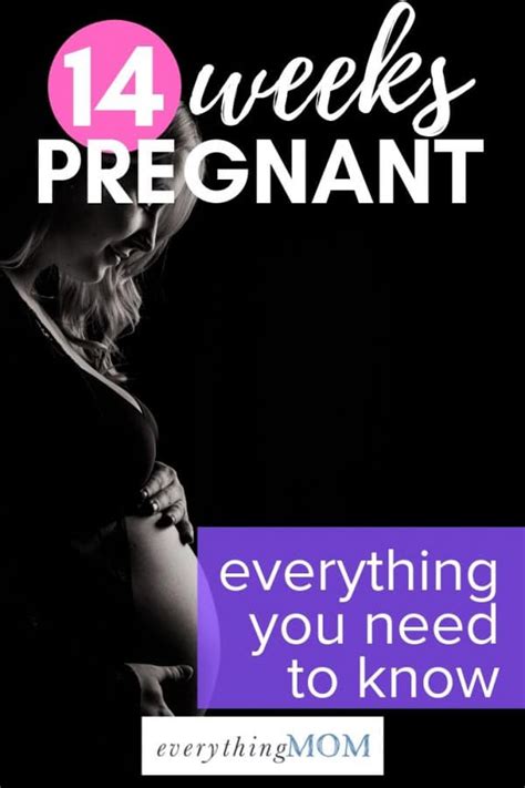 Weeks Pregnant Pregnancy Sex Everythingmom My Xxx Hot Girl