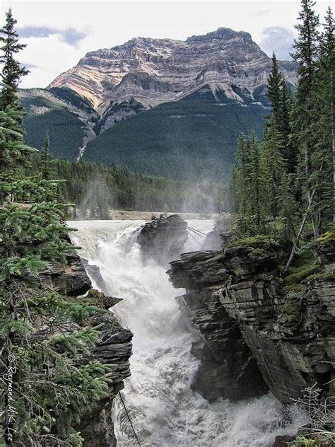 Athabasca Falls Maligne Canyon Jasper Waterfalls Pinterest