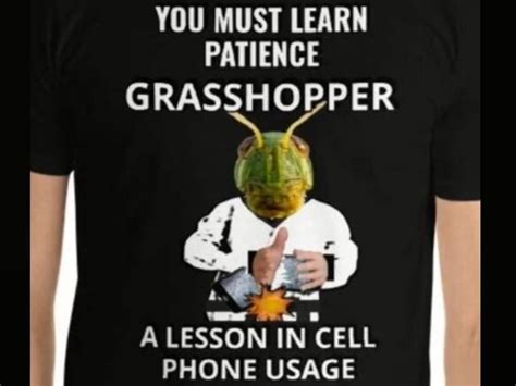 Pin On Kung Fu Grasshopper