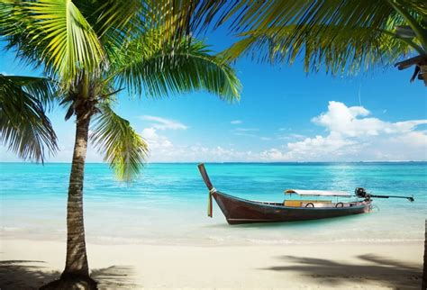 Laeacco Sea Beach Tropical Palm Tree Boats Scenic Photography