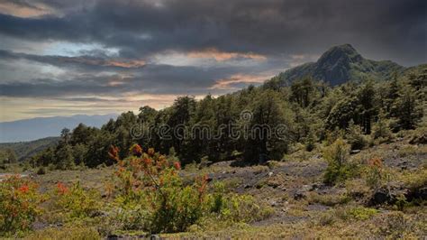Beautiful Landscape Patagonia Mountains Glacier Lake River Forests And