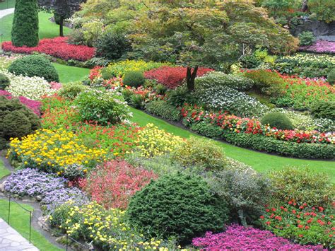 Known in three canadian provinces, viking landscaping offers the best landscaping services in calgary, winnipeg, and regina. Fab Tips on Shrub Identification: Evergreen and Flowering ...