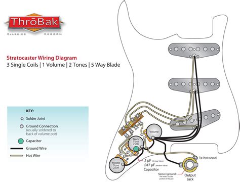 Wiring Diagram For Stratocaster