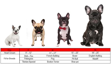 French bulldog growing up from 8 weeks to 8 months puppy transformation. Amazon.com : JYHY Short Snout Dog Muzzles- Adjustable ...