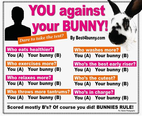 Rabbit Care Advice Best 4 Bunny House Rabbit Society Bunny Pet Rabbit