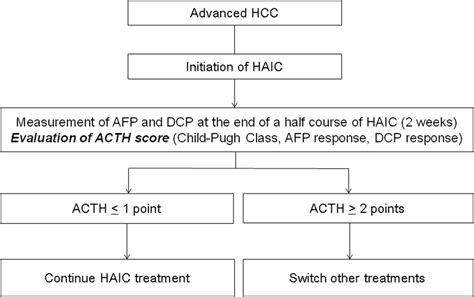 The Treatment Strategy For Advanced Hepatocellular Carcinoma According