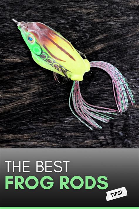 Fishing rods of medium power is most suitable for bass fishing as you get to use baits like spinnerbait crankbait or jerk bait. The Best Frog Rods For Bass Fishing (Reviews and Buyers ...