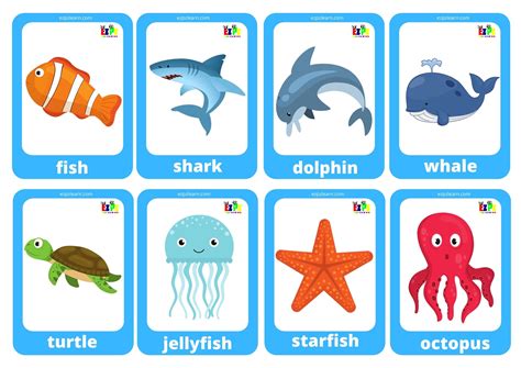 Sea Animals Game Cards Mini Flashcards