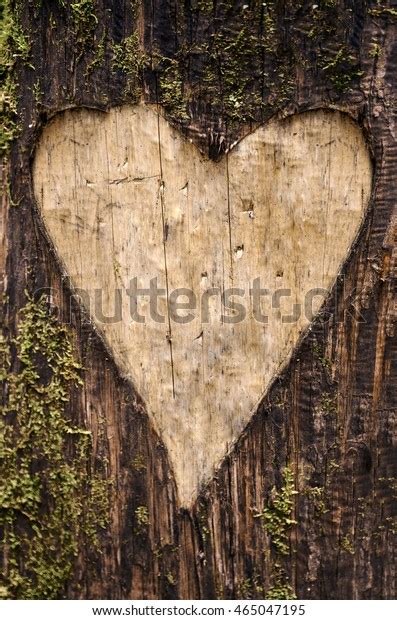3491 Heart Carved In Tree Images Stock Photos And Vectors Shutterstock