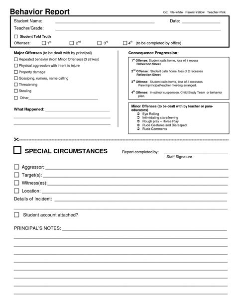 Pupil Report Template