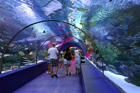 Antalya Aquarium Ticket With Optional Antalya City Tour And Duden