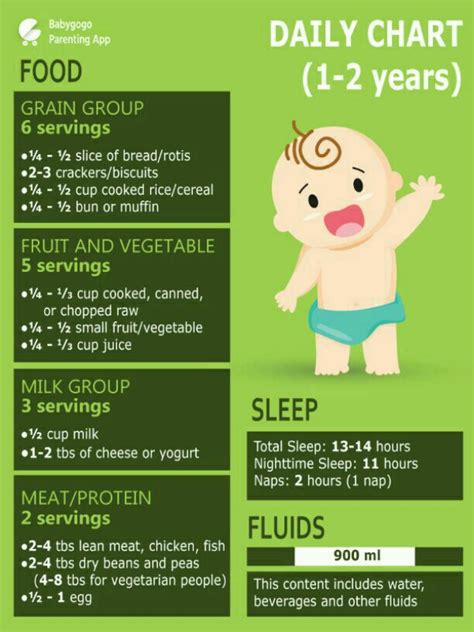 It must be admitted that we do not know all the seasons of fruits and vegetables, and even less when they can be integrated intobaby's diet. Food chart for 14 month baby