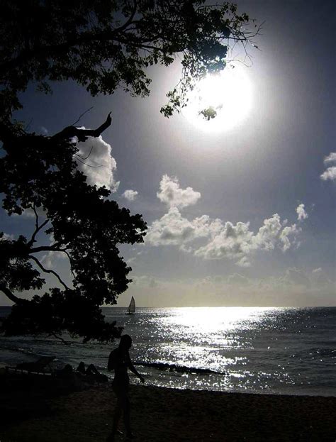 moonlight barbados beach in the caribbean on a full moon… flickr
