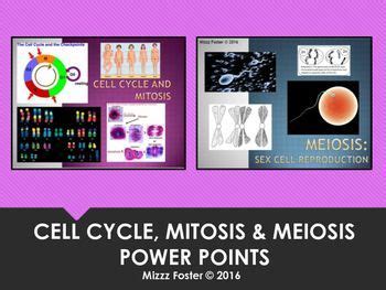 Cell Cycle Mitosis Meiosis Editable PowerPoints With Free Venn