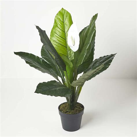 Homescapes Artificial Peace Lily Plant 90 Cm Tall Fake Spathiphyllum