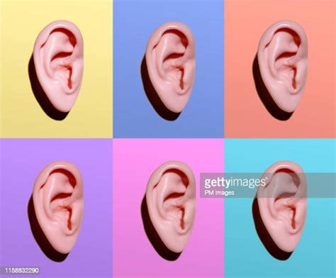 Listening Ear Photos And Premium High Res Pictures Getty Images