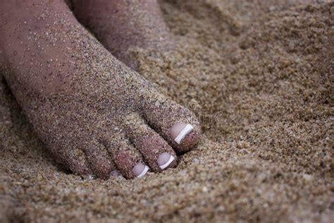 Beautiful Toes In The Sand Stock Image Image Of Adult