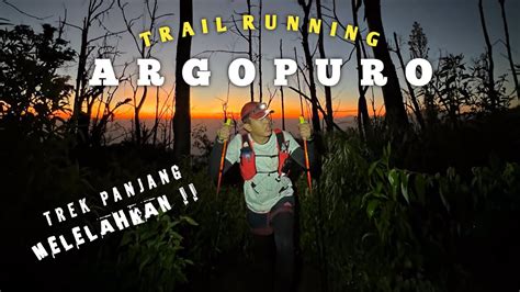 Trail Running Gunung Argopuro Trek Panjang Melelahkan Namun Asyik Youtube
