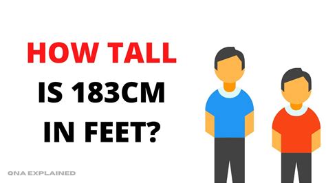 How Tall Is 183cm In Feet Qna Explained Youtube