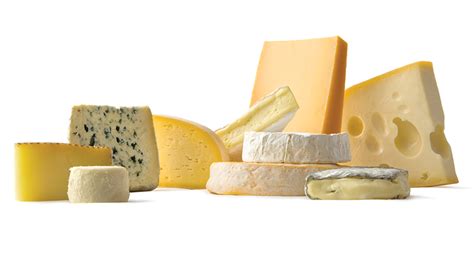 Studying Cheese Reveals How Microbes Interact