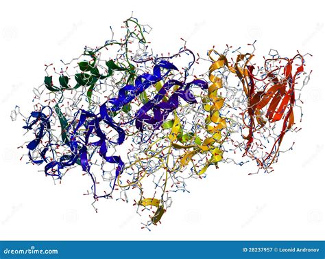 Enzyme Alpha Amylase Royalty Free Stock Photography Image 28237957