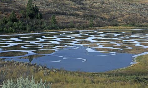 Spotted Lake In Okanagan Vallye Osoyoos British Columbia Stock Photo