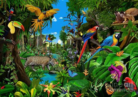 Rainforest Digital Art Amazon Sunrise By Gerald Newton Jungle Art