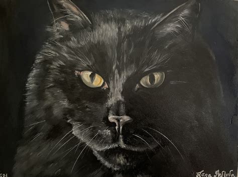 Black Cat Portrait Pet Portrait Black Cat Oil On Canvas Etsy