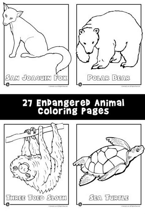 Endangered Animals Coloring Pages Animals From North America The