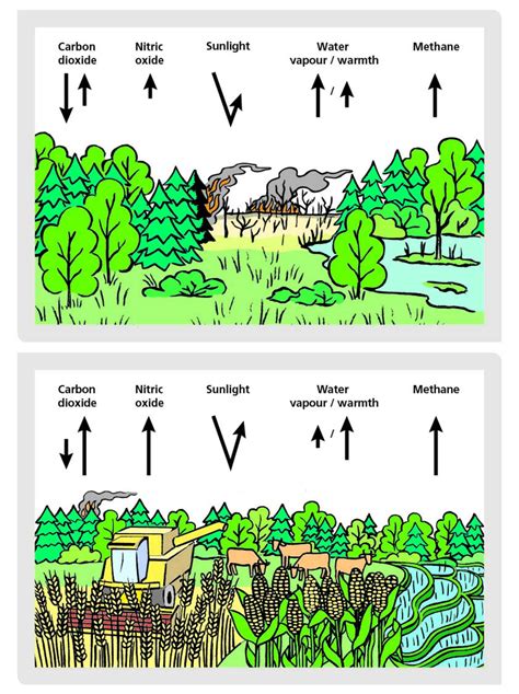 Land Use Change Eskp