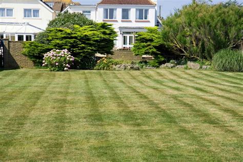 How To Add Stripes To Your Lawn Like A Pro