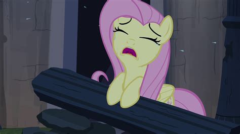 Image Fluttershy Crying S04e03png My Little Pony