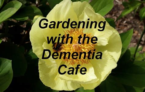 Gardening For Wellbeing With The Dementia Cafe Gardening By Design