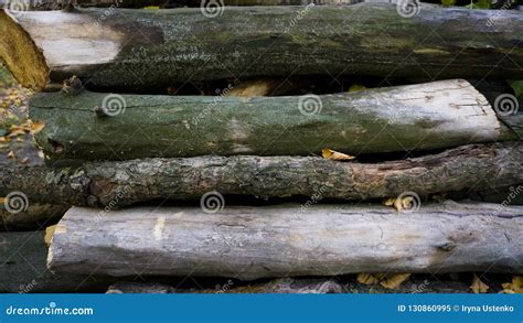 Heap Of Long Wooden Logs Stacked Horizontally Close Up Stock Image