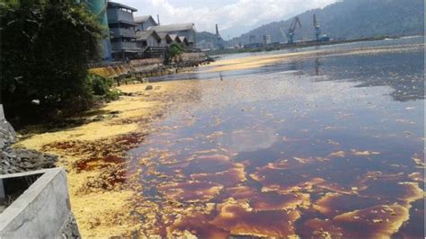 50 Ton Minyak Sawit Tumpah Di Teluk Bayur Sanksi Menanti Perusahaan