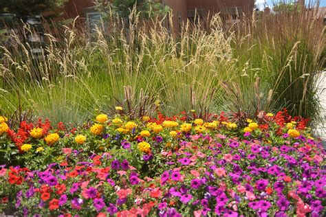 Call us today for more information. Flowers By Season in Colorado Springs - Timberline ...